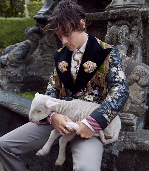 gucci advert 2019 harry styles|harry styles gucci ambassador.